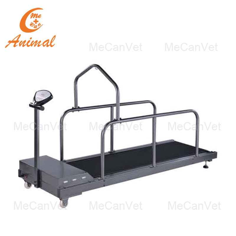 dog running machine mecan vet